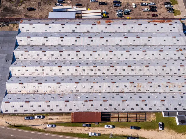 Aerial view of a large commercial roof with rows of light panels