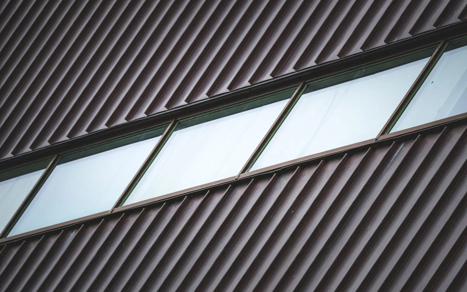 Dark standing seam metal roof with a row of skylights