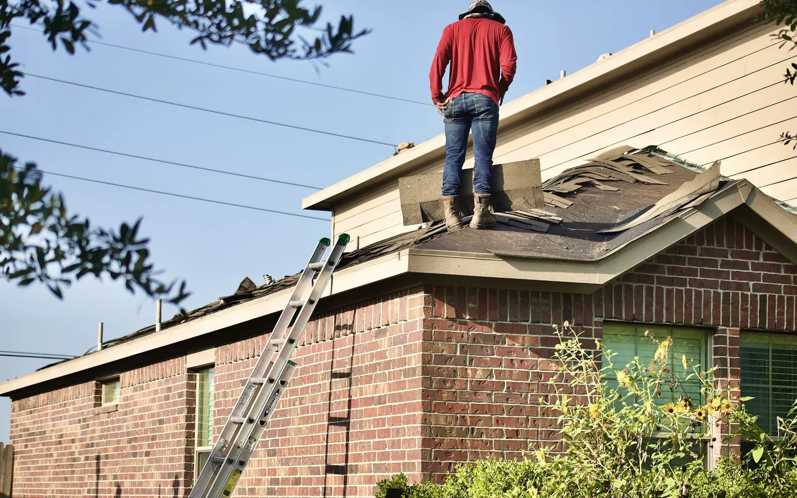 Person standing on a shingle roof of a brick house with a ladder at the eave