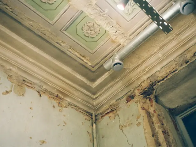 Water stains and peeling paint where a ceiling meets the wall