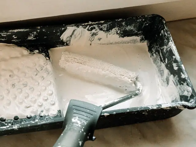 White coating and a roller in a tray